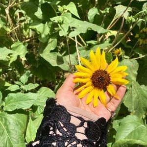 Meet your Posher, Dina